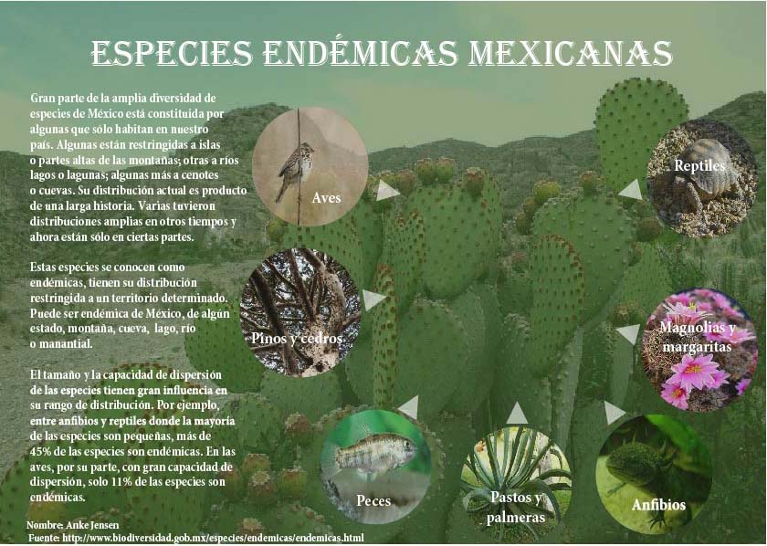 Qué Son Las Especies Endémicas De México Lista / Fauna endémica de